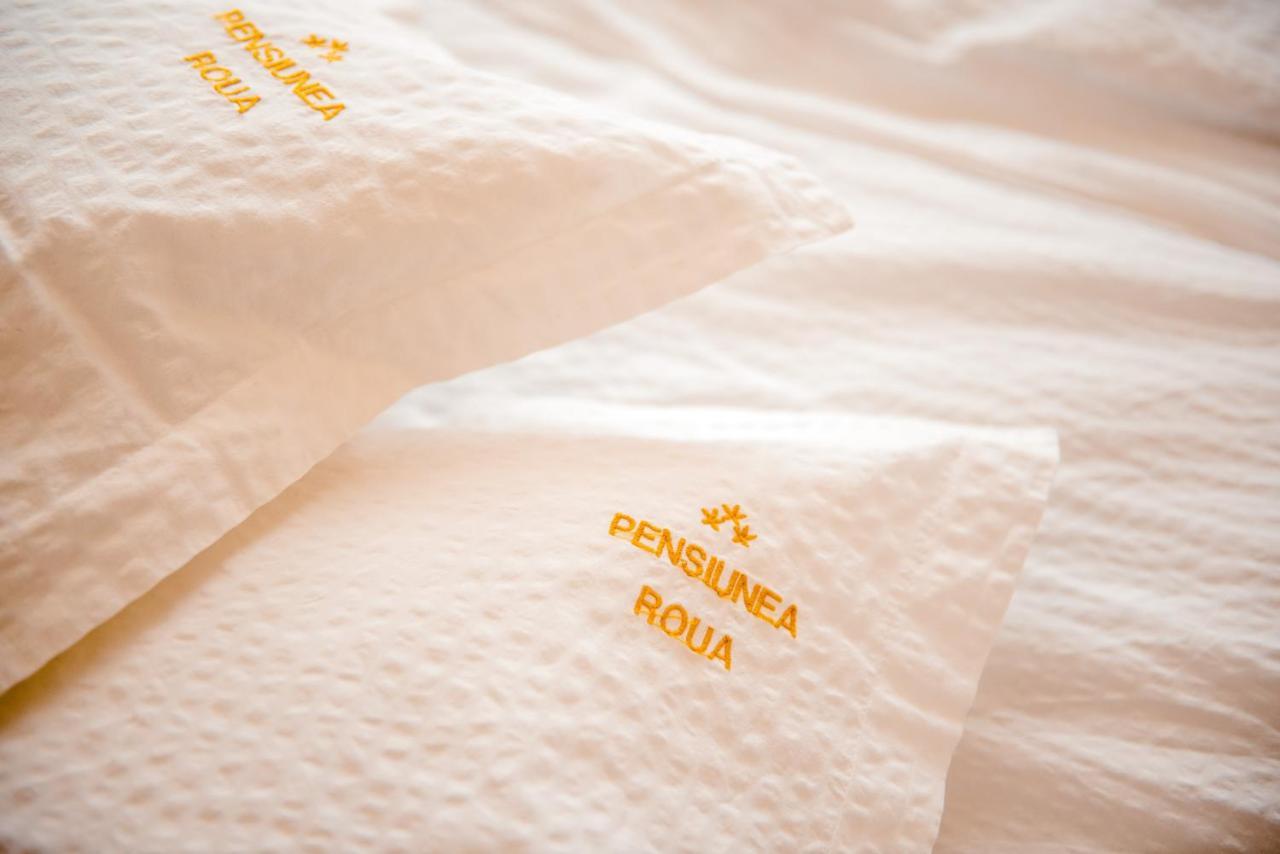 Pensiune Roua 2 阿拉德 外观 照片